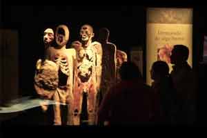 body-worlds
