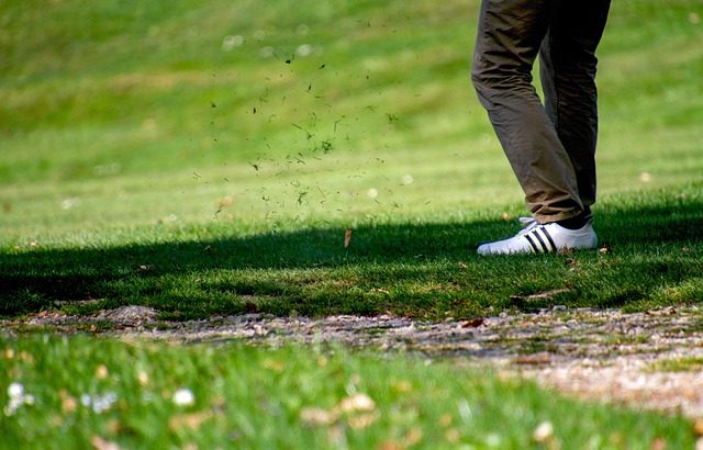 5598375-golf-3345509_640
